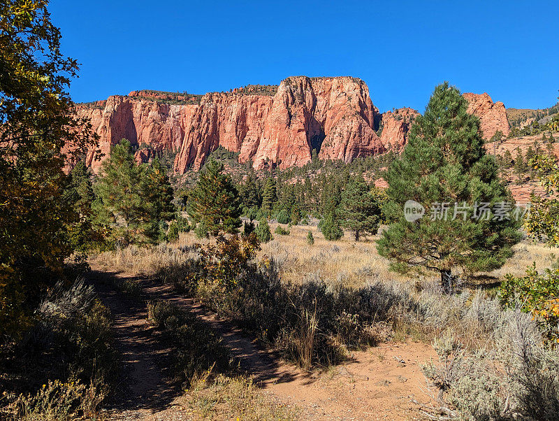 犹他州锡安国家公园Hop Valley Trailhead附近的Kolob Terrace Road沿线的干燥草地和红色岩石hoodoo